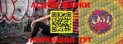 дурь Заводоуковск