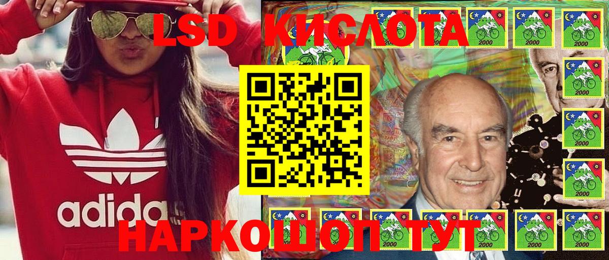 Североморск  купить наркоту  Наркотические марки 1500мкг  Вход с VPN  Наркотические марки 1500мкг 