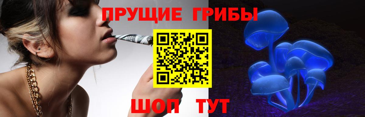 Псилоцибиновые грибы Cubensis  Вход с VPN  Североморск 